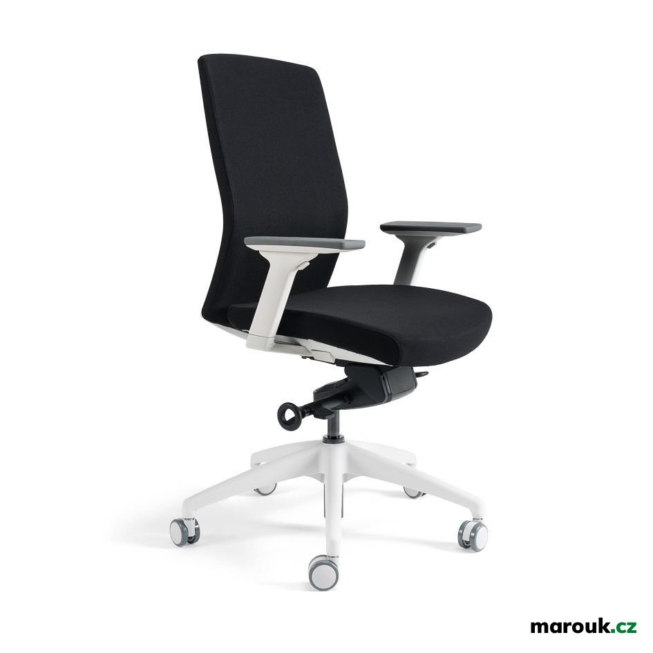 Kancelářská ergonomická židle Office Pro J2 WHITE BP — více barev