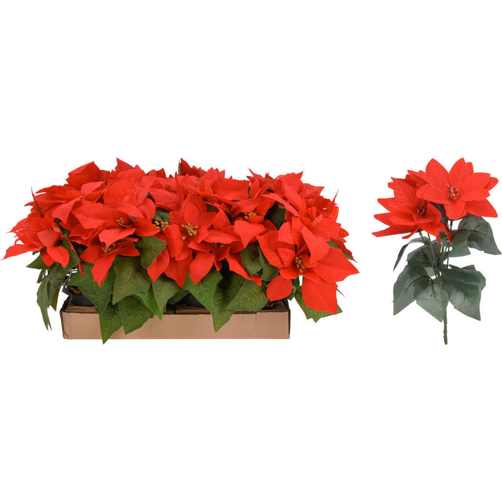 DEKORAČNÍ KVĚTINA