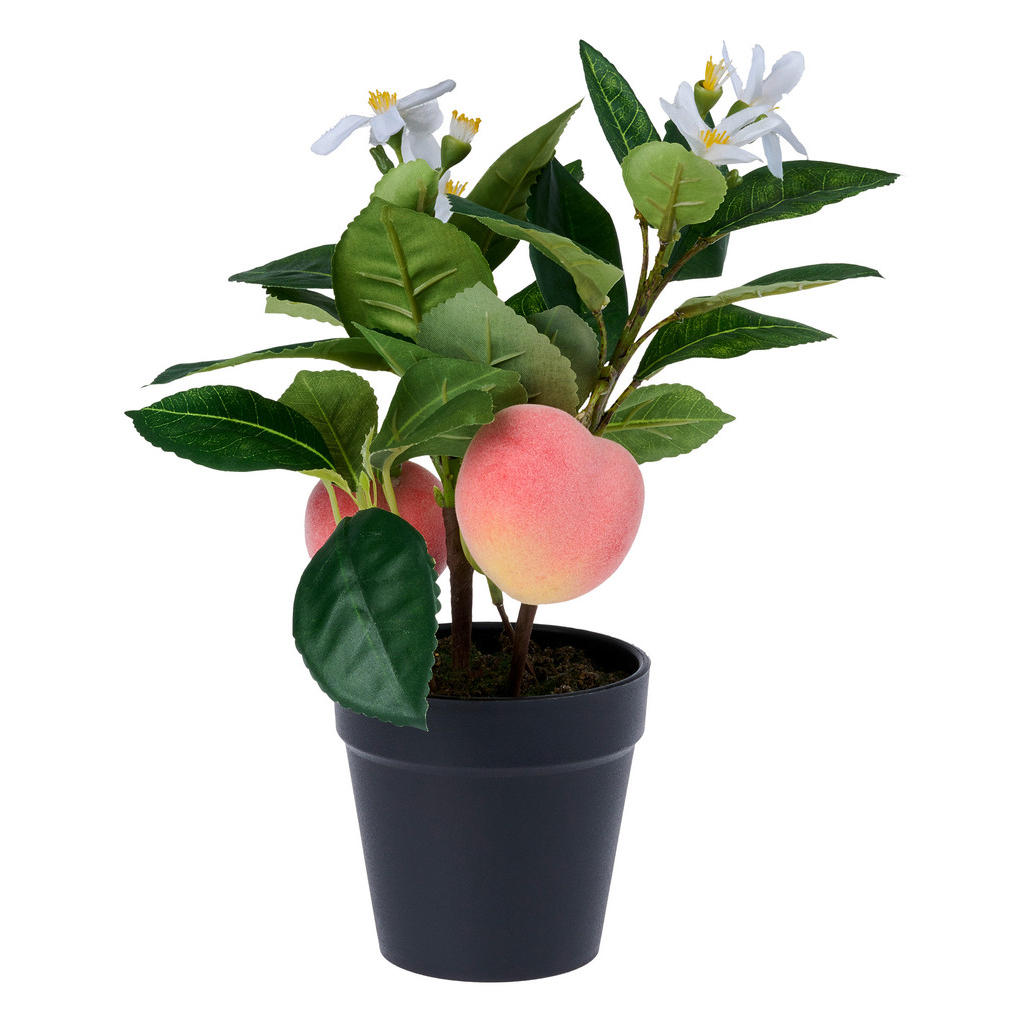 Ambia Home UMĚLÁ ROSTLINA broskev 30 cm Ambia Home